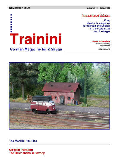 PDF Download for free: Trainini Magazine (November 2020)