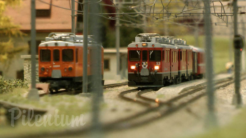 Narrow Gauge Model Railway Display with Swiss Model Trains by BEMO