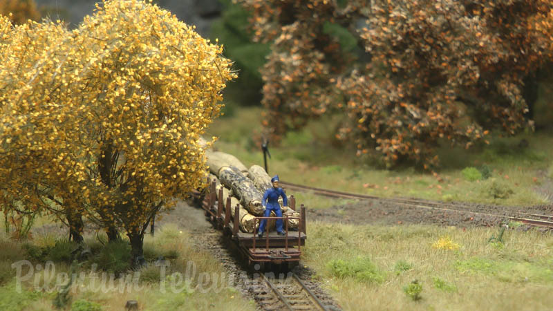 Superb Forest Model Railway and Sawmill in Narrow Gauge HO scale by Laurent Vandermotte