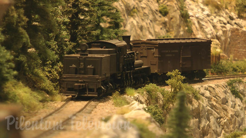 蒸気機関車 ・ 森林鉄道 ・ 鉄道模型 ・ バンクーバー島 ・ カナダ