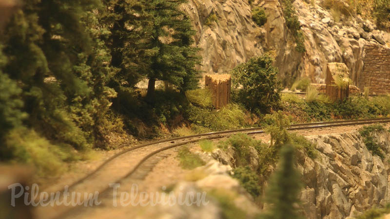 蒸気機関車 ・ 森林鉄道 ・ 鉄道模型 ・ バンクーバー島 ・ カナダ