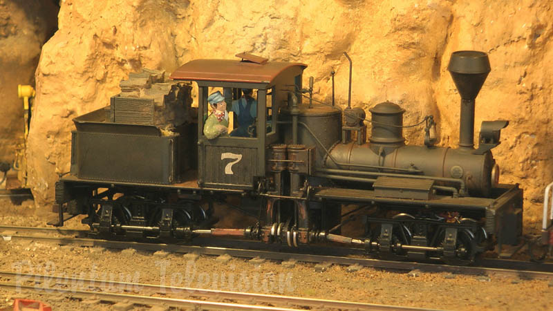 Treni americani e locomotive a vapore della ferrovia di Denver and Rio Grande Railroad