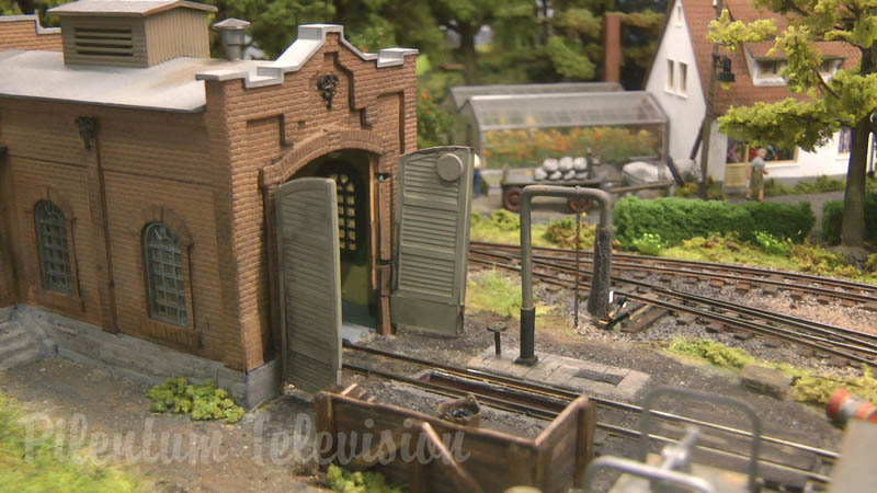 Chemin de fer en miniature en voie étroite avec des locomotives à vapeur et des locomotives diesel