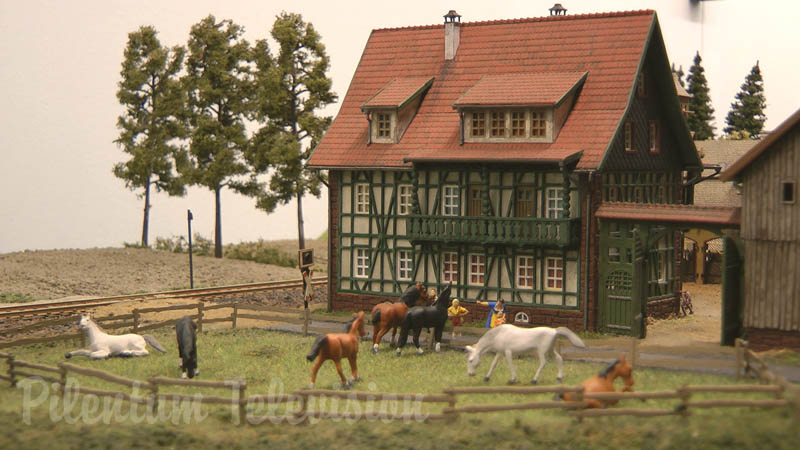 Model Trains on a branch line in a German Village - Rail Modeling in HO scale