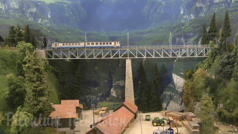 Treni in Svizzera: Plastico ferroviario di Modelspoor Vereniging Spoorgroep Zwitserland