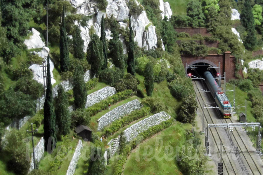 Lokomotiver og tog i Italien: Modeljernbane Plastico Ferroviario Vallecasanuova af Carlo Viganò