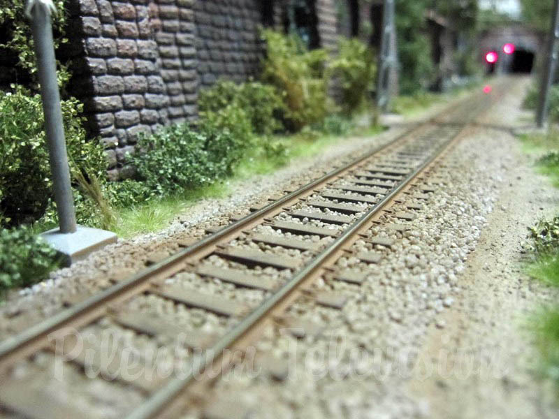 Trenes en miniatura en Italia: La magnífica maqueta ferroviaria realizada por Carlo Viganò