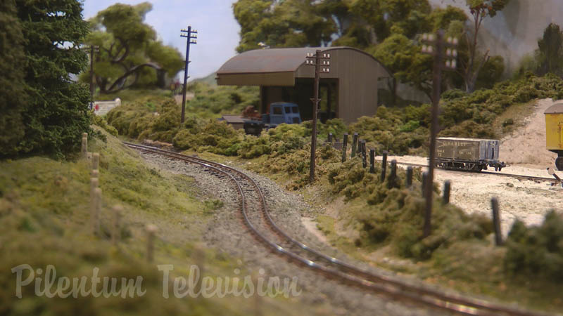 Steam Locomotive (Cab Ride) and Model Trains in Action on Wimborne Railway Society’s Layout