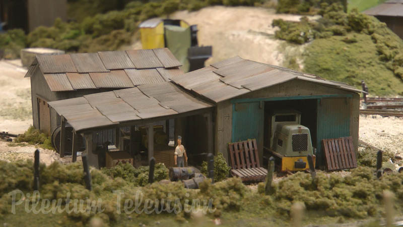 Steam Locomotive (Cab Ride) and Model Trains in Action on Wimborne Railway Society’s Layout