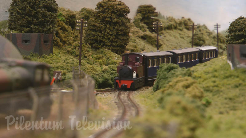 Steam Locomotive (Cab Ride) and Model Trains in Action on Wimborne Railway Society’s Layout