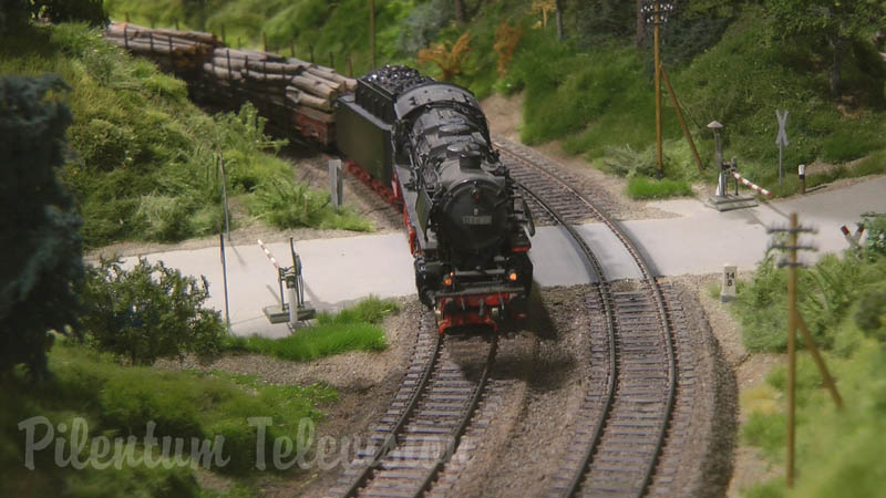 Tåg, ånglok och modelltåg på en modelljärnväg i HO skala