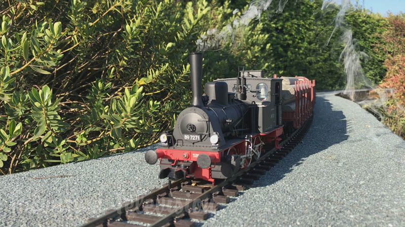 Treni in transito: Locomotive a vapore e treni diesel sul plastico in giardino (ferrovia da cortile)