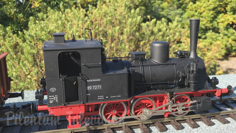 Treni in transito: Locomotive a vapore e treni diesel sul plastico in giardino (ferrovia da cortile)