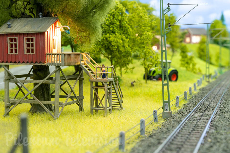 Chemin de fer miniature en Suède avec des locomotives à vapeur et des voitures RC