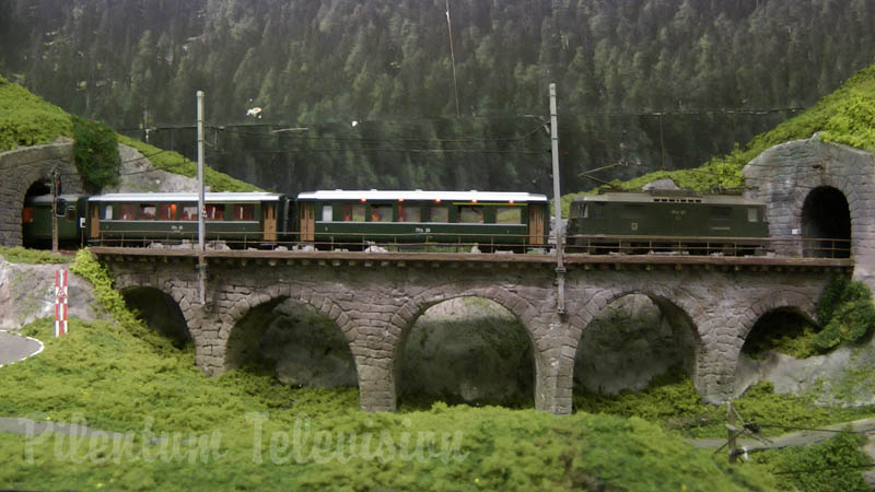스위스의 모형 철도-협궤 모형 열차