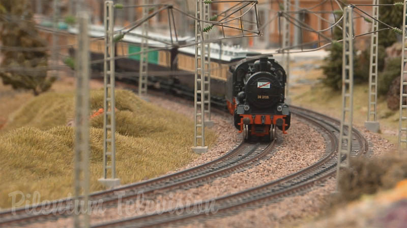 Modelos de trenes en acción en módulos de maquetas a escala HO
