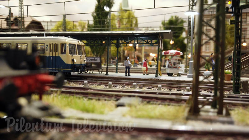Locomotive a vapore e treni di Maerklin: Plastico ferroviario Virgental di Wim de Zee