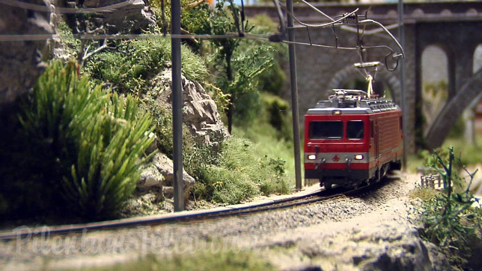 Réseau H0 avec des trains en miniature de la Suisse